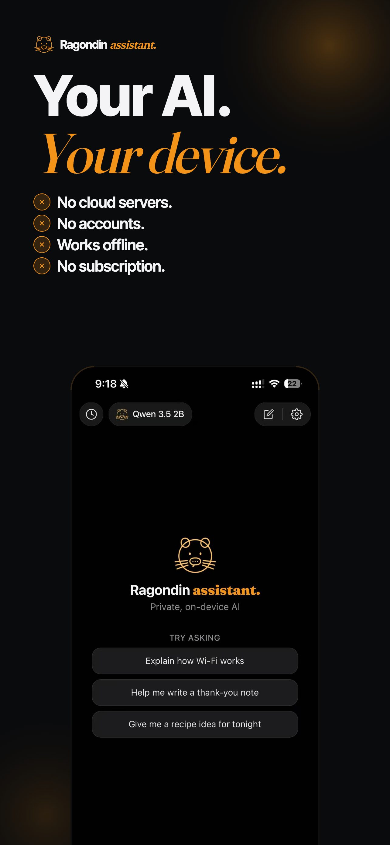 Ragondin assistant — private on-device chat